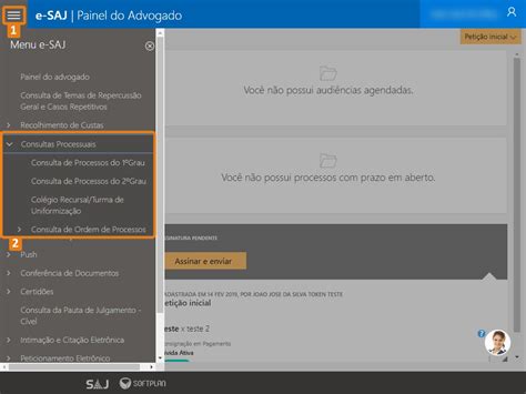 sajsp|Consulta de Processos .